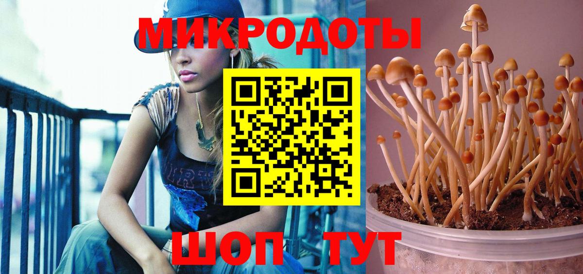 Новомосковск  Галлюциногенные грибы Psilocybe  Вход с VPN  Псилоцибиновые грибы GOLDEN TEACHER 