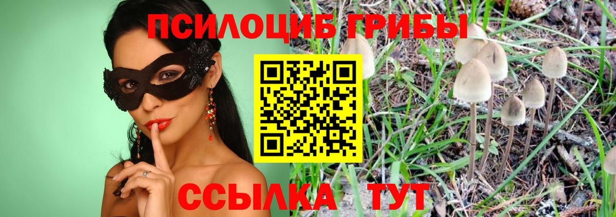 Псилоцибиновые грибы мухоморы Новомосковск